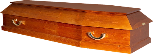 Гроб "Питер" 6-х гранный светлый